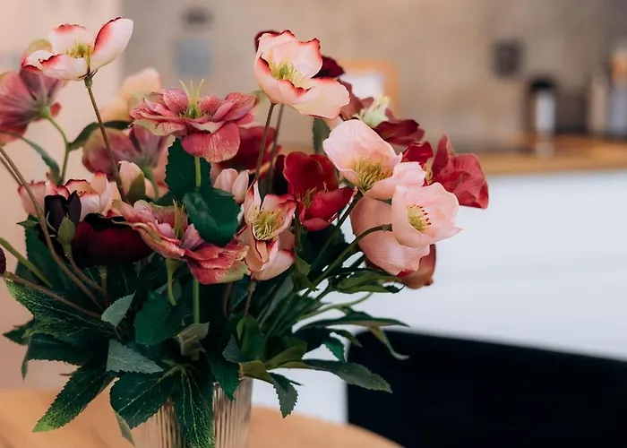 Апартаменты Cozy Corner Познань